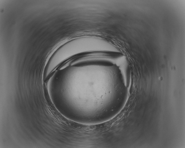 X0000085320148200703161514