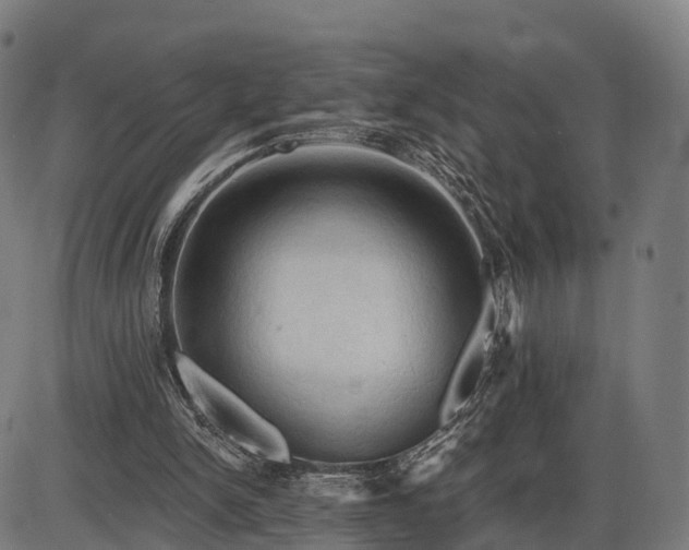 X0000085320150200703161514