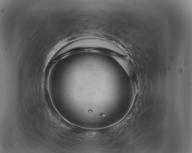 X0000085320152200703161514