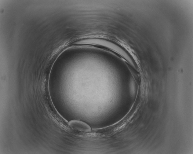 X0000085320153200703161514