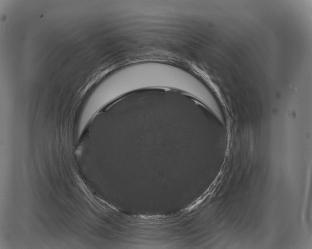 X0000085320154200703161514