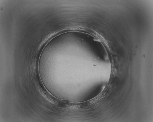X0000085320155200703161514