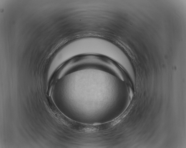 X0000085320158200703161514