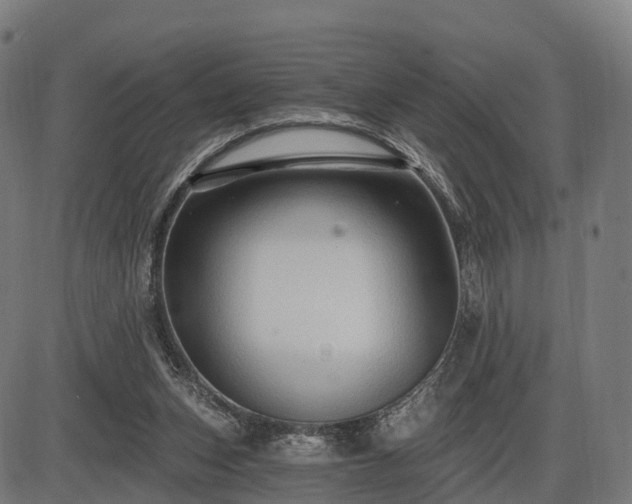 X0000085320159200703161514