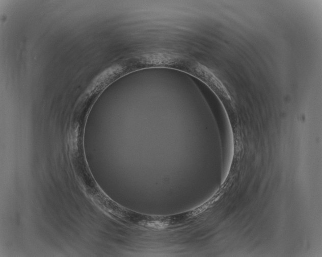 X0000085320163200703161515