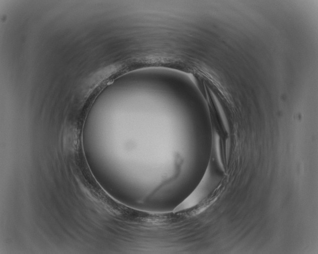 X0000085320164200703161515
