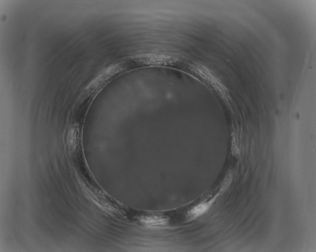 X0000085320165200703161515