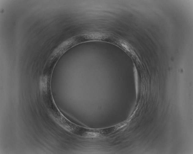 X0000085320167200703161515