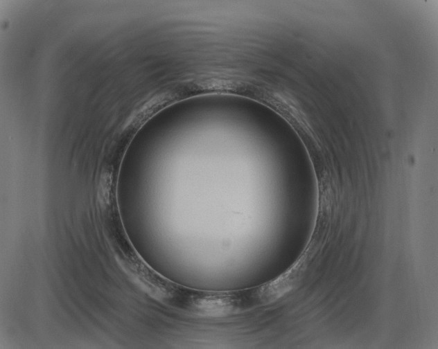 X0000085320171200703161515