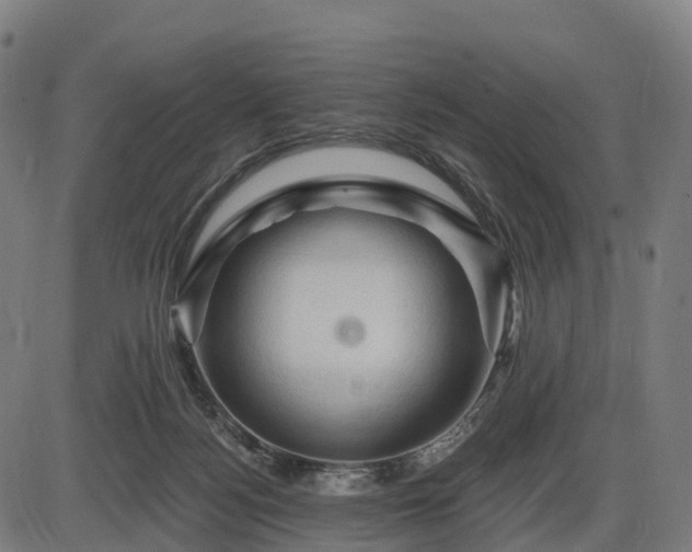 X0000085320172200703161515