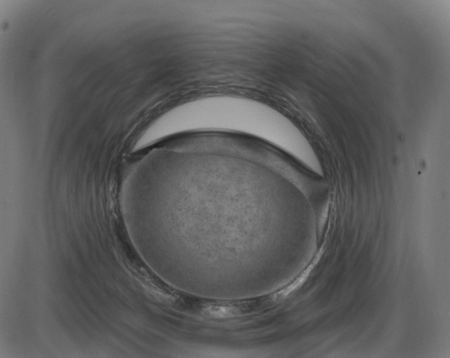 X0000085320174200703161515