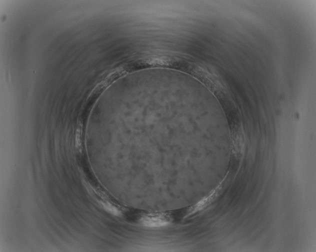 X0000085320175200703161515
