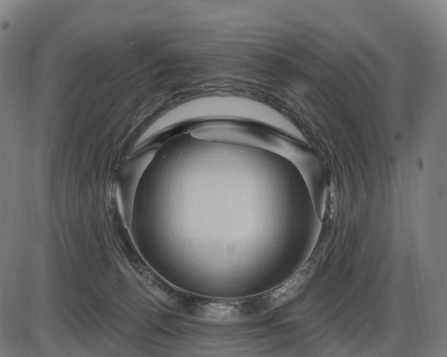 X0000085320176200703161515