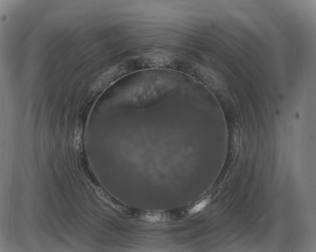 X0000085320177200703161515