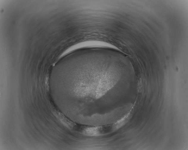 X0000085320178200703161515
