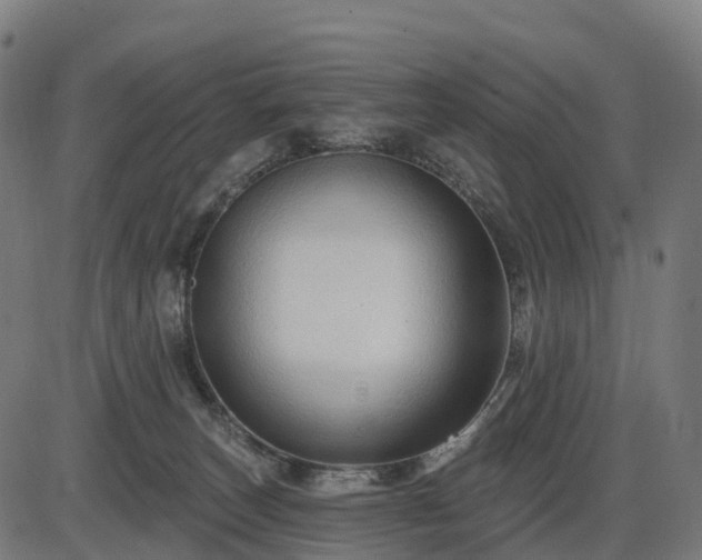 X0000085320179200703161515