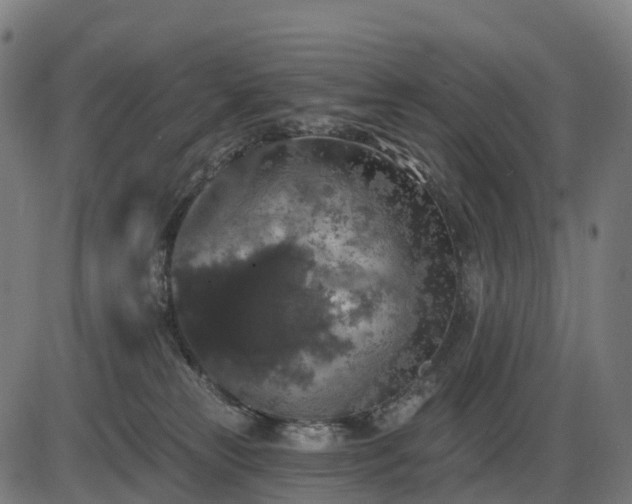 X0000085320181200703161515