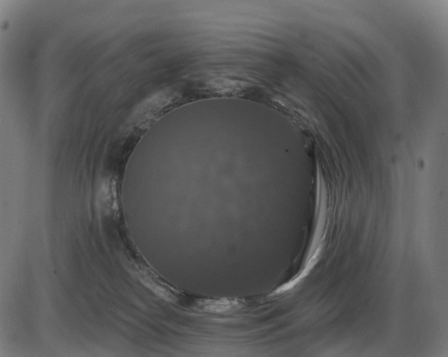 X0000085320182200703161515