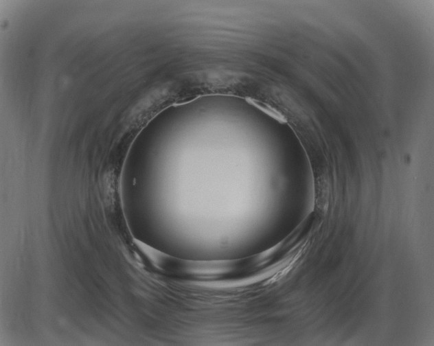 X0000085320184200703161515