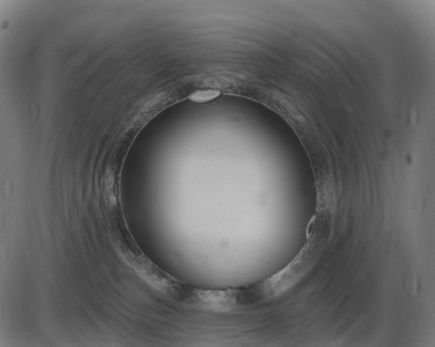 X0000085320187200703161515