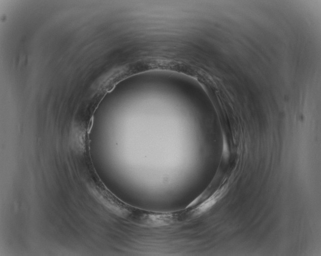 X0000085320188200703161515