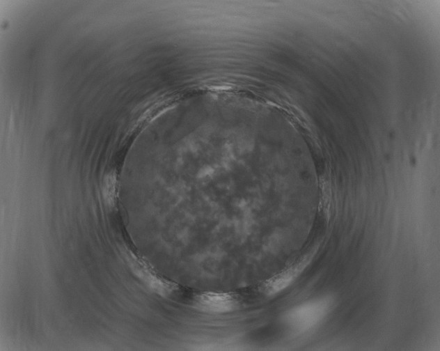 X0000085320189200703161515