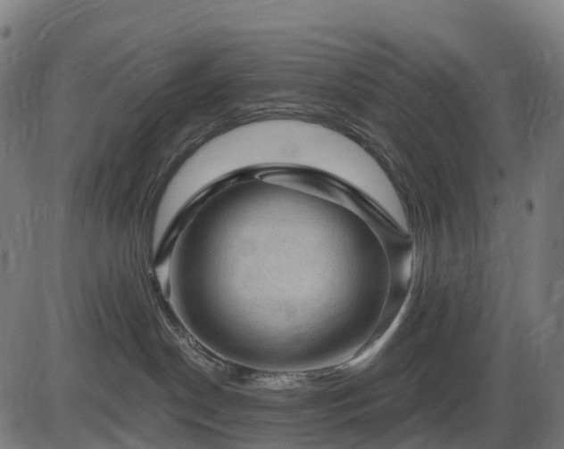 X0000085320190200703161515