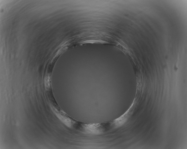 X0000085320191200703161515