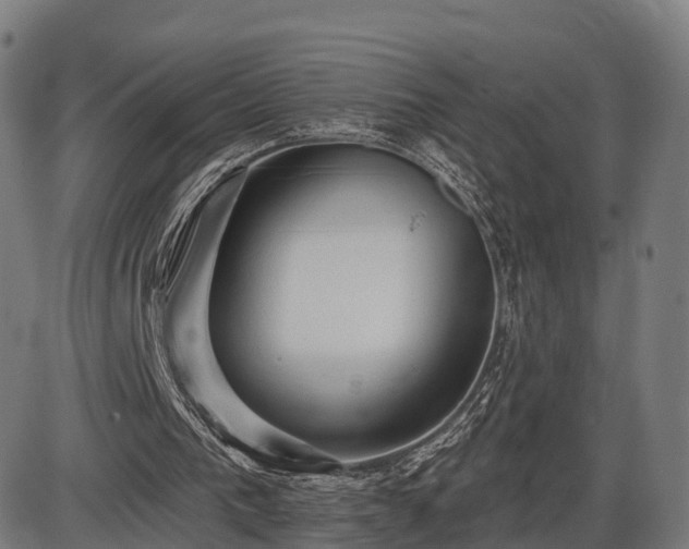 X0000085320193200703161514