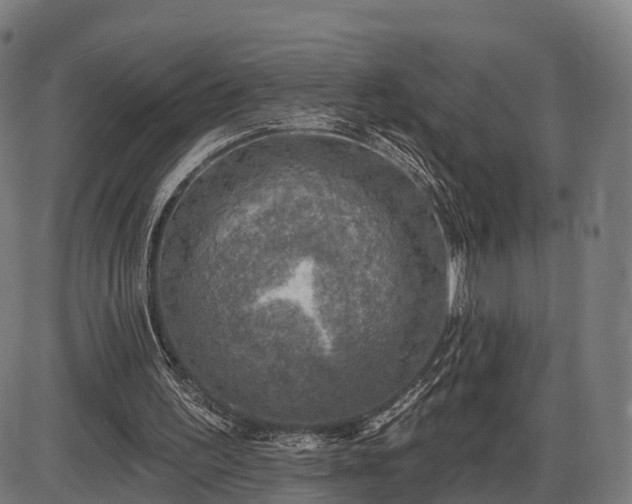 X0000085320195200703161514