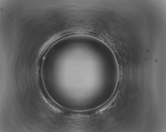 X0000085320197200703161514