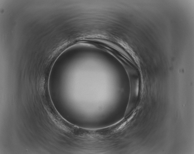 X0000085320201200703161514