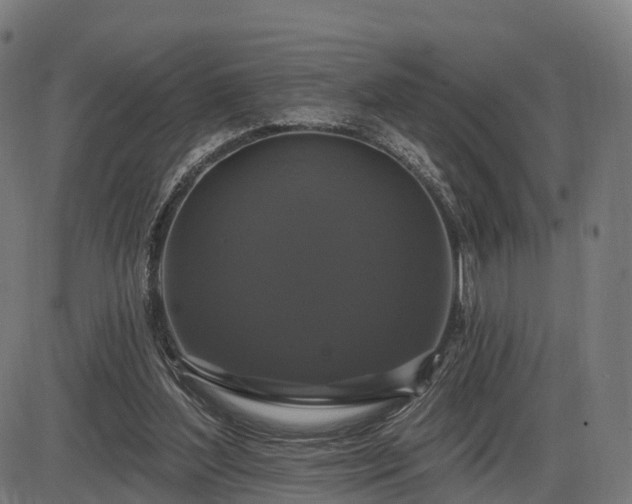 X0000085320204200703161514