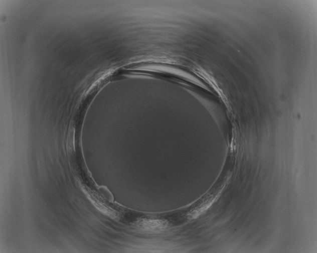 X0000085320205200703161514