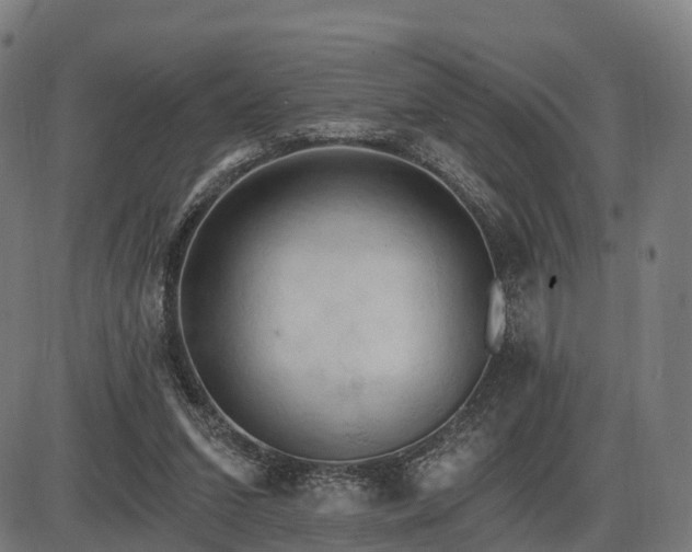 X0000085320207200703161514