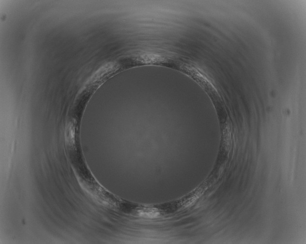 X0000085320214200703161514