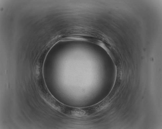 X0000085320215200703161514