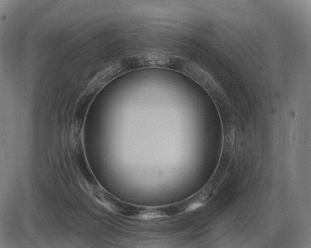 X0000085320218200703161514