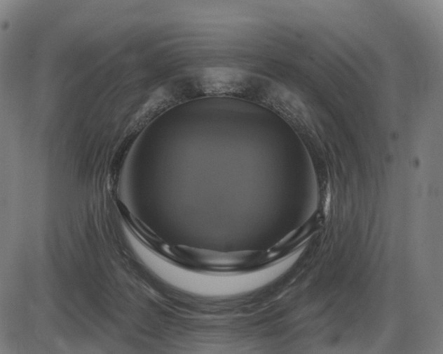 X0000085320219200703161514