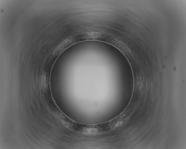 X0000085320220200703161514