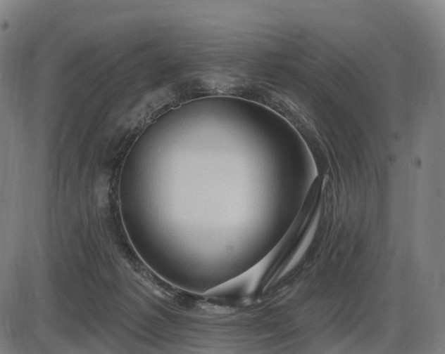 X0000085320221200703161514