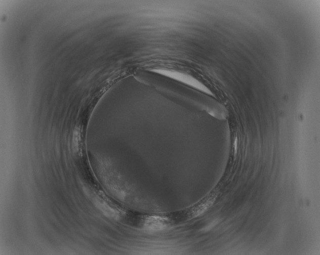 X0000085320222200703161514