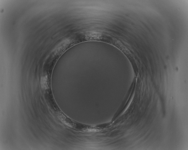 X0000085320224200703161514