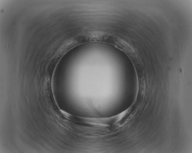 X0000085320225200703161514
