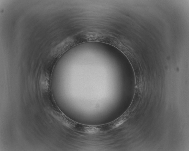 X0000085320226200703161514