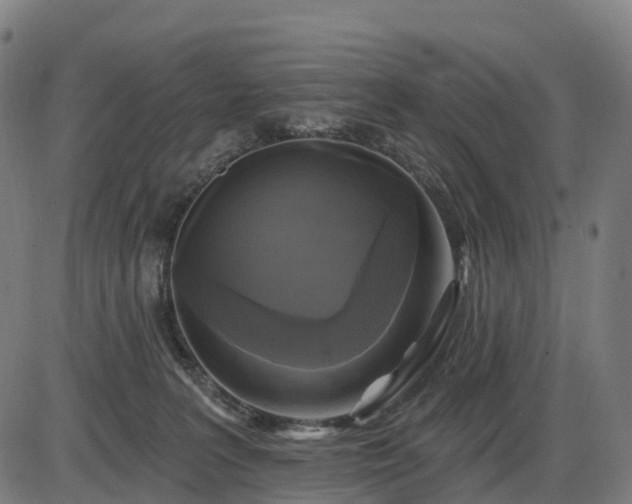 X0000085320227200703161514