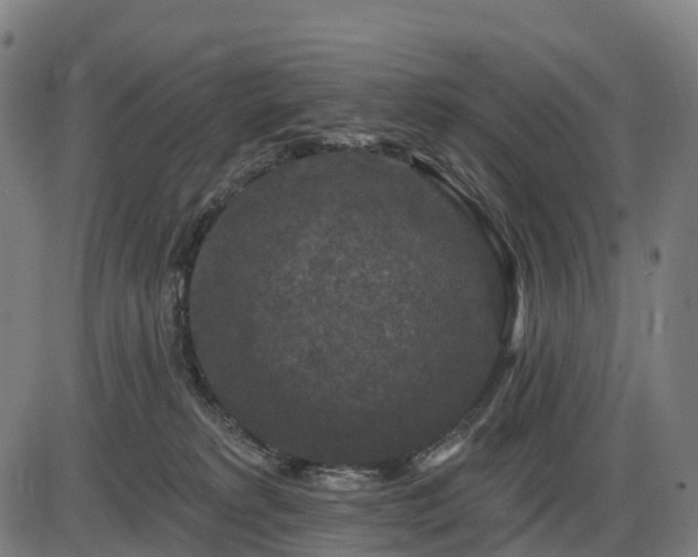 X0000085320229200703161514