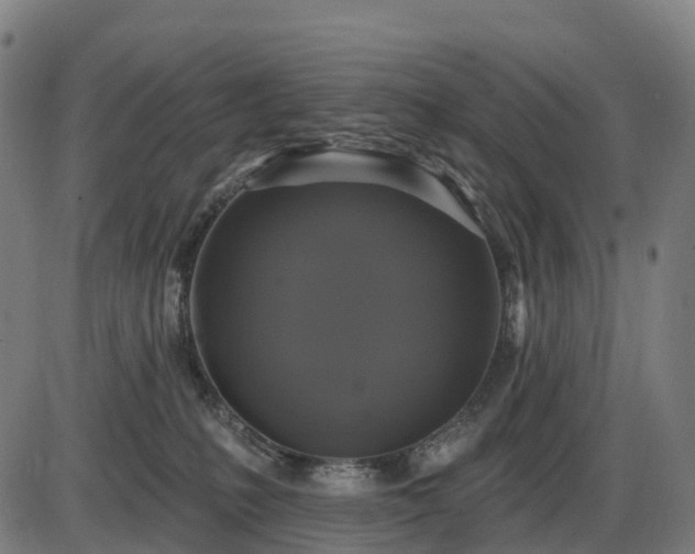 X0000085320231200703161514
