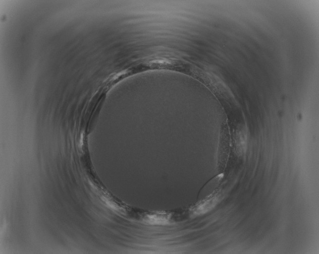 X0000085320232200703161514