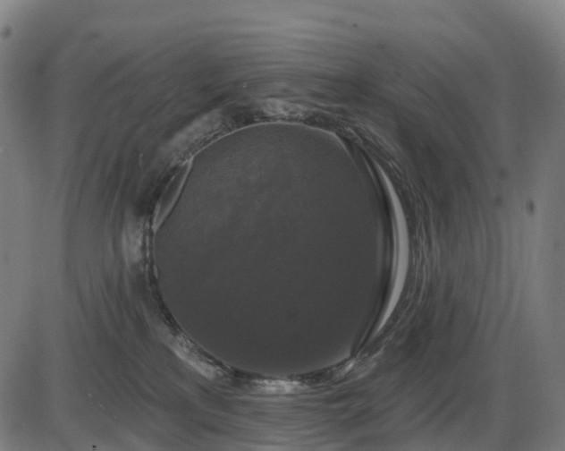 X0000085320233200703161514